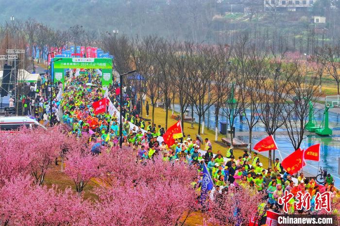 湖北远安马拉松鸣枪开赛 近万名跑者在田野花海