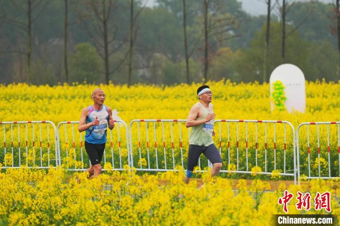 湖北远安马拉松鸣枪开赛 近万名跑者在田野花海